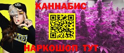 сатива Новодвинск