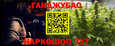 сатива Новодвинск